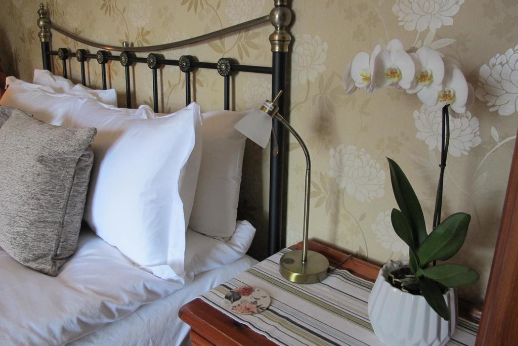 סיטון Holmleigh House Bed And Breakfast מראה חיצוני תמונה